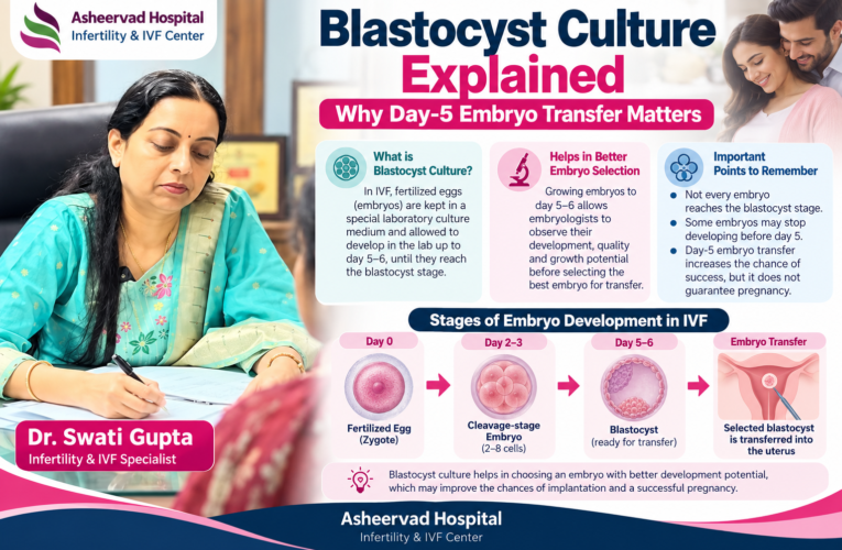 Blastocyst Culture Explained: Why Day-5 Embryo Transfer Matters